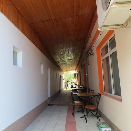Pensiunea Cetina Brad  Exterior photo