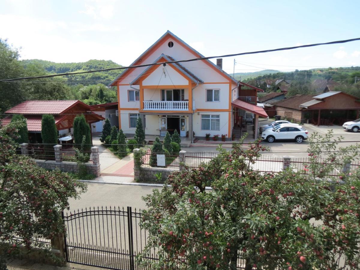 Pensiunea Cetina Brad  Exterior photo