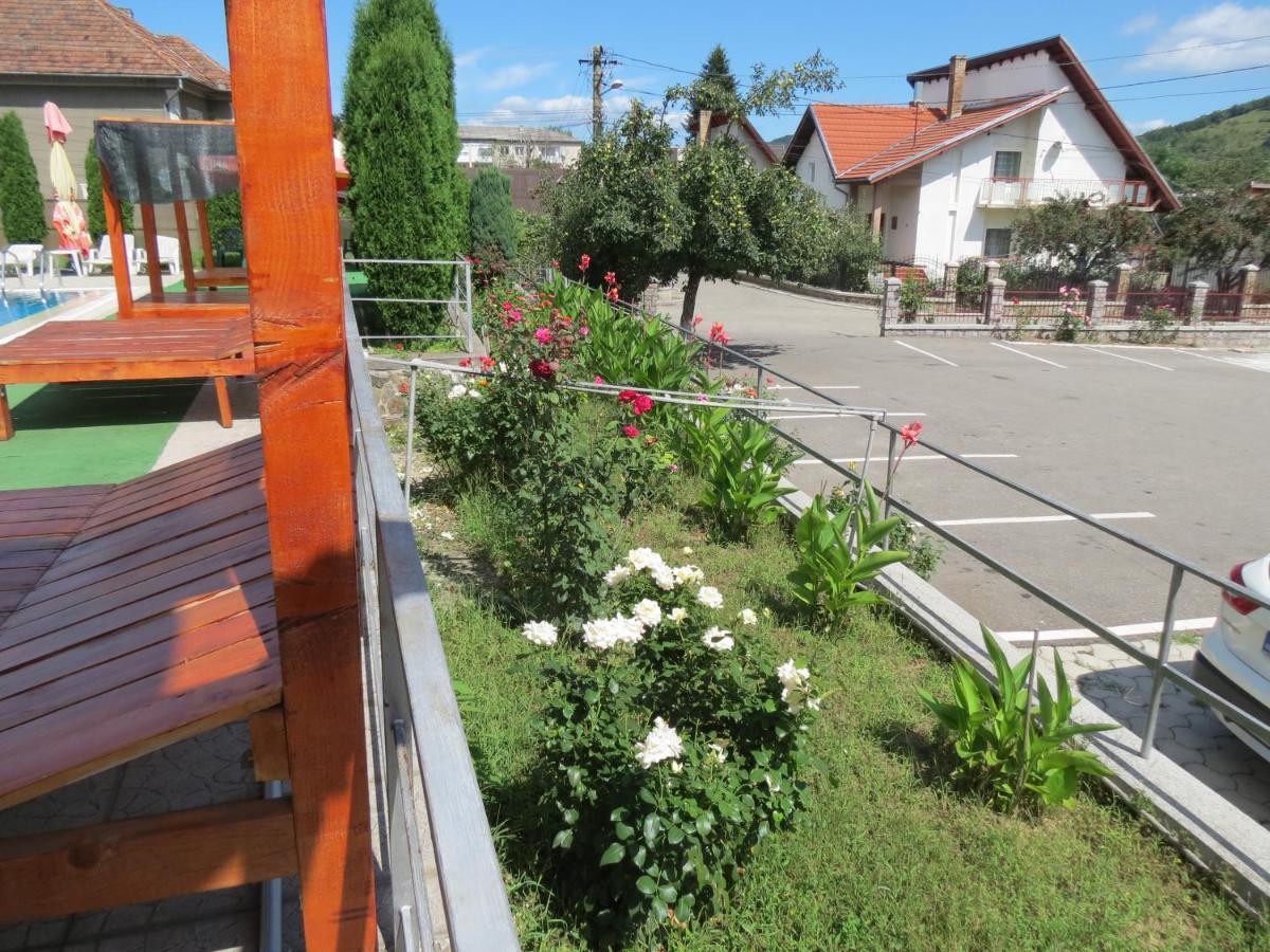 Pensiunea Cetina Brad  Exterior photo