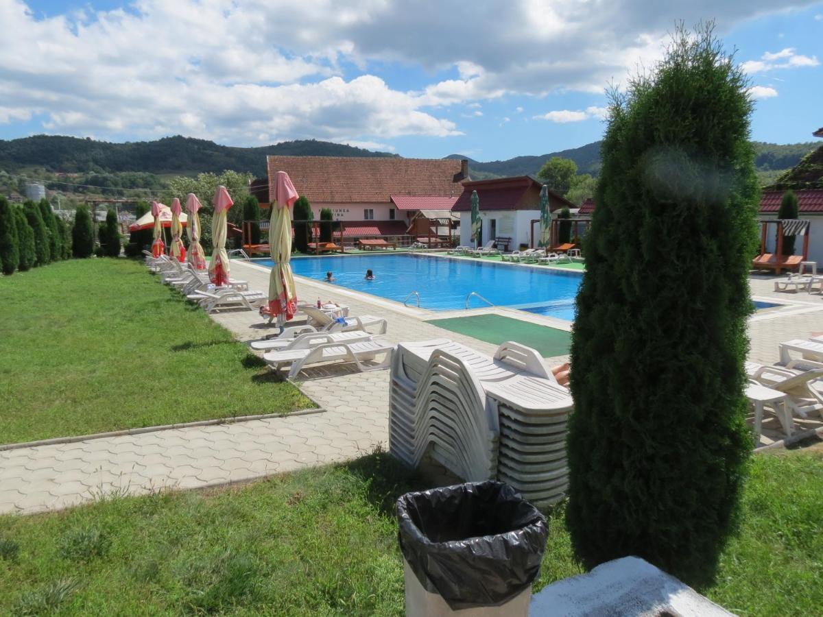 Pensiunea Cetina Brad  Exterior photo