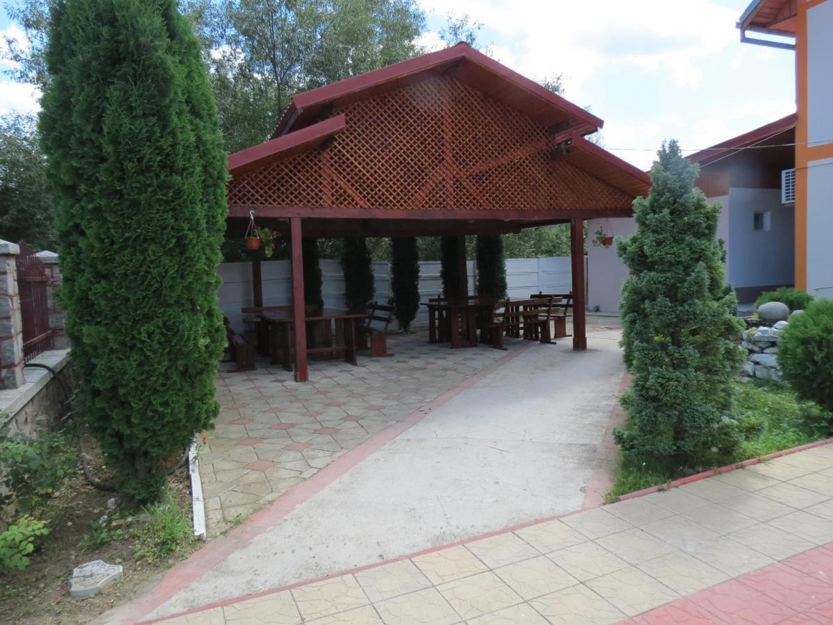 Pensiunea Cetina Brad  Exterior photo