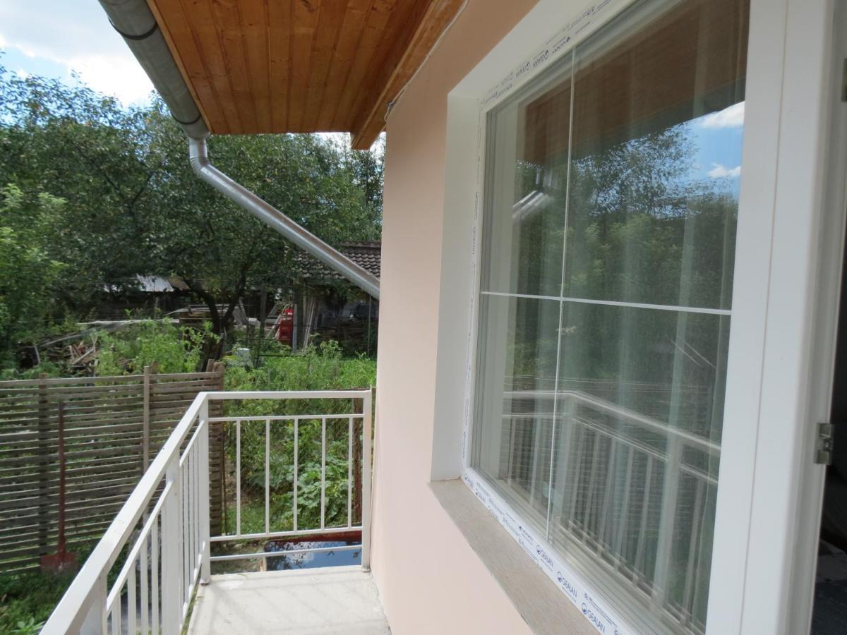 Pensiunea Cetina Brad  Exterior photo