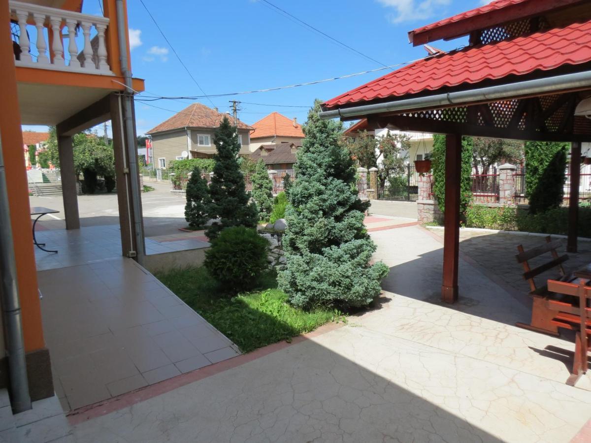 Pensiunea Cetina Brad  Exterior photo