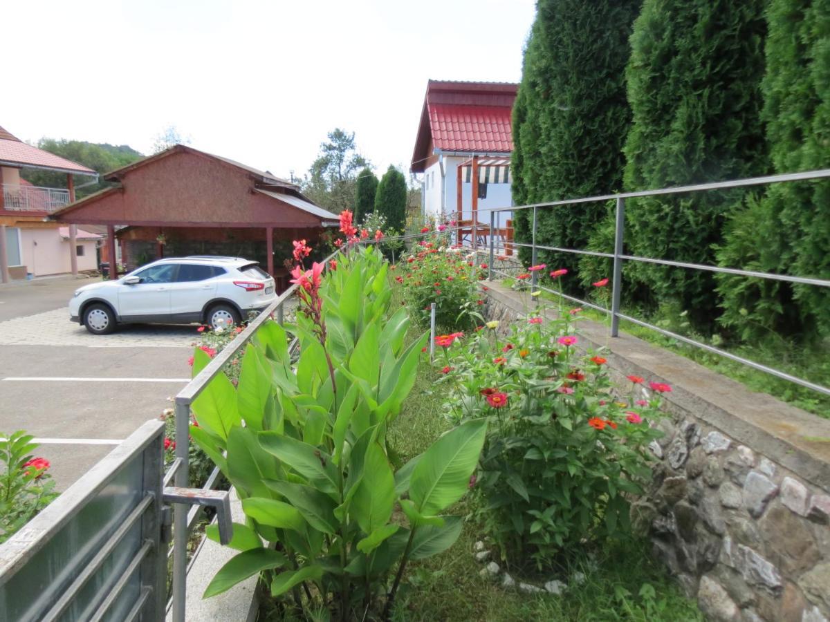Pensiunea Cetina Brad  Exterior photo