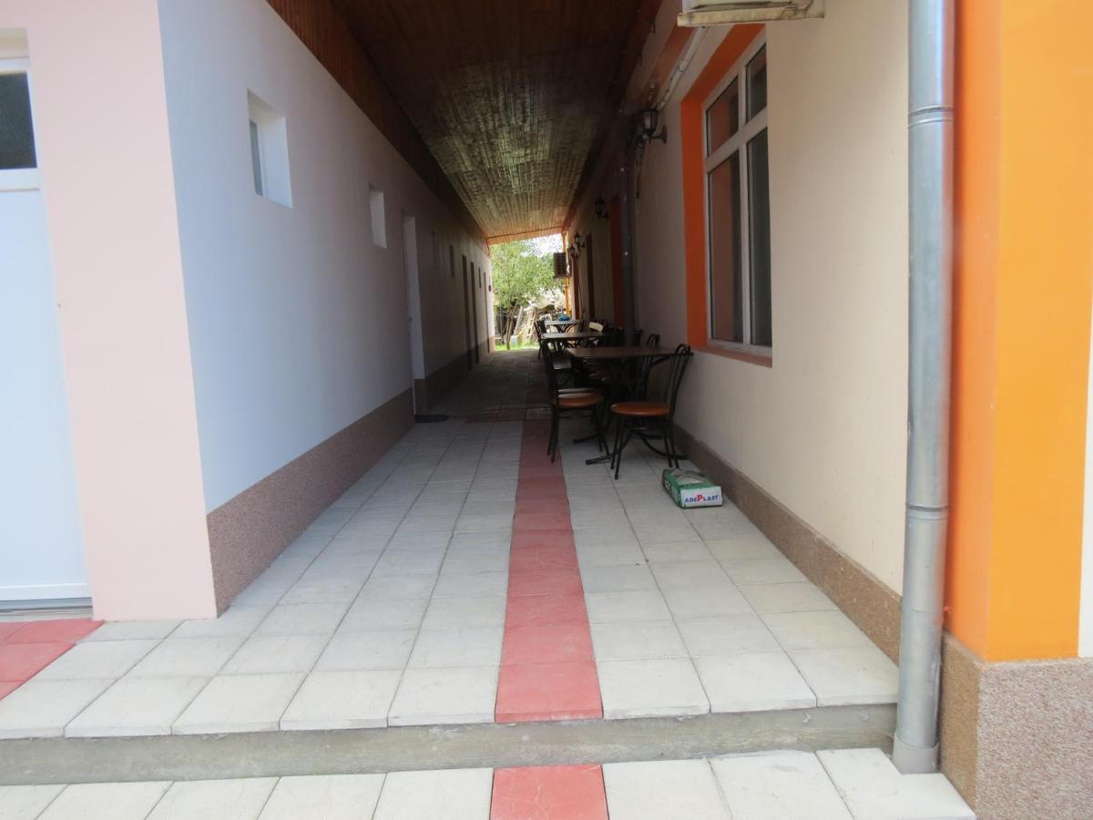 Pensiunea Cetina Brad  Exterior photo
