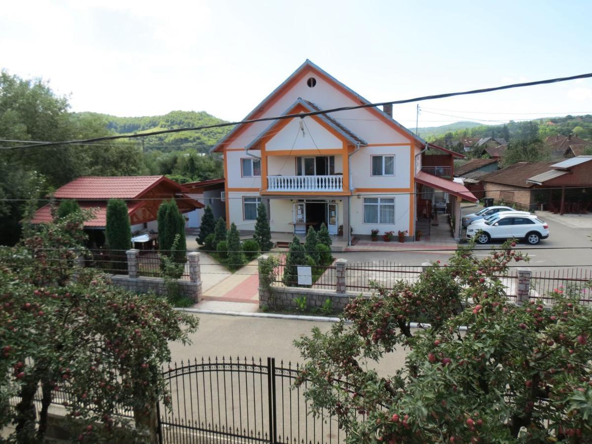 Pensiunea Cetina Brad  Exterior photo