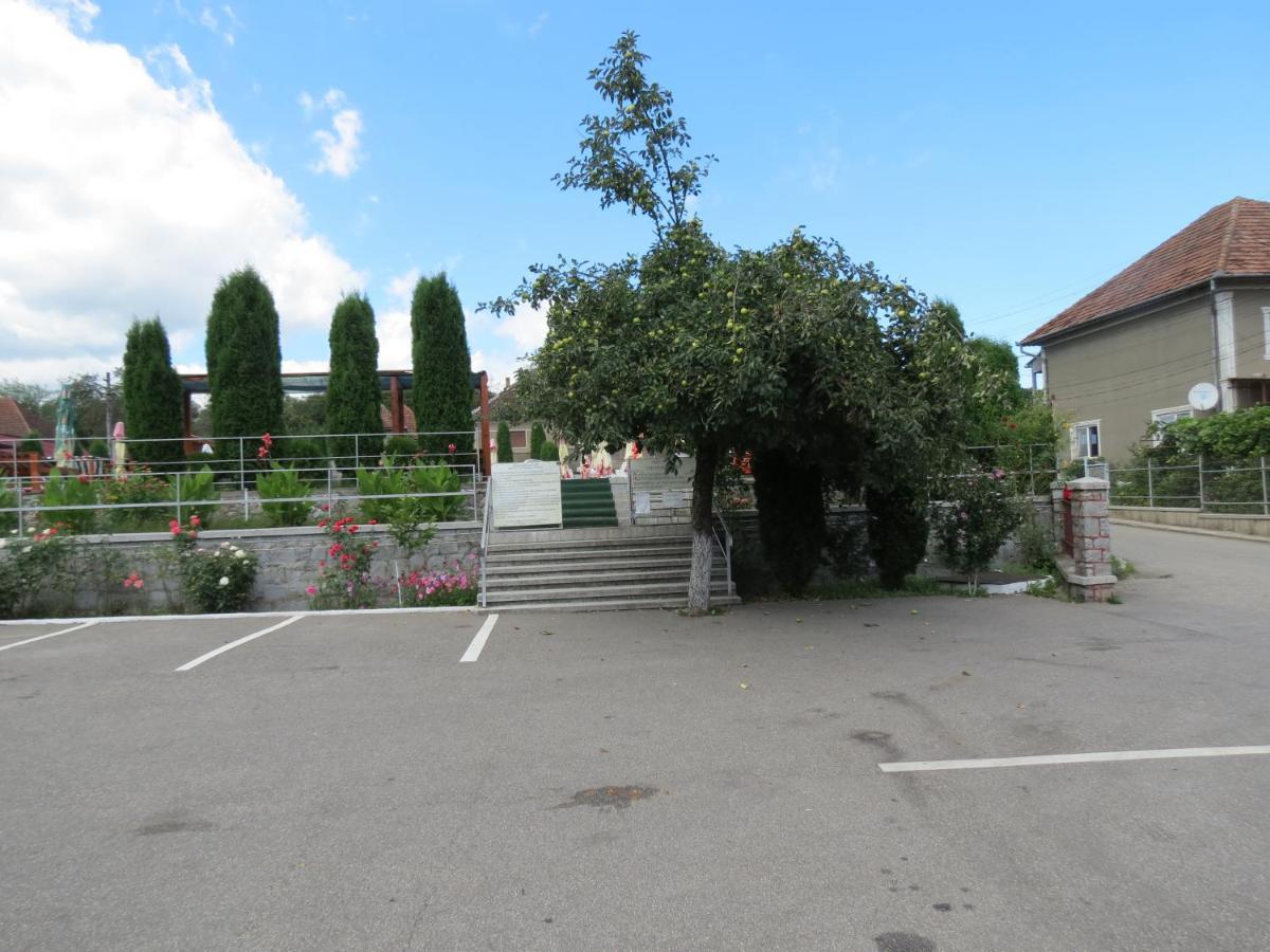 Pensiunea Cetina Brad  Exterior photo