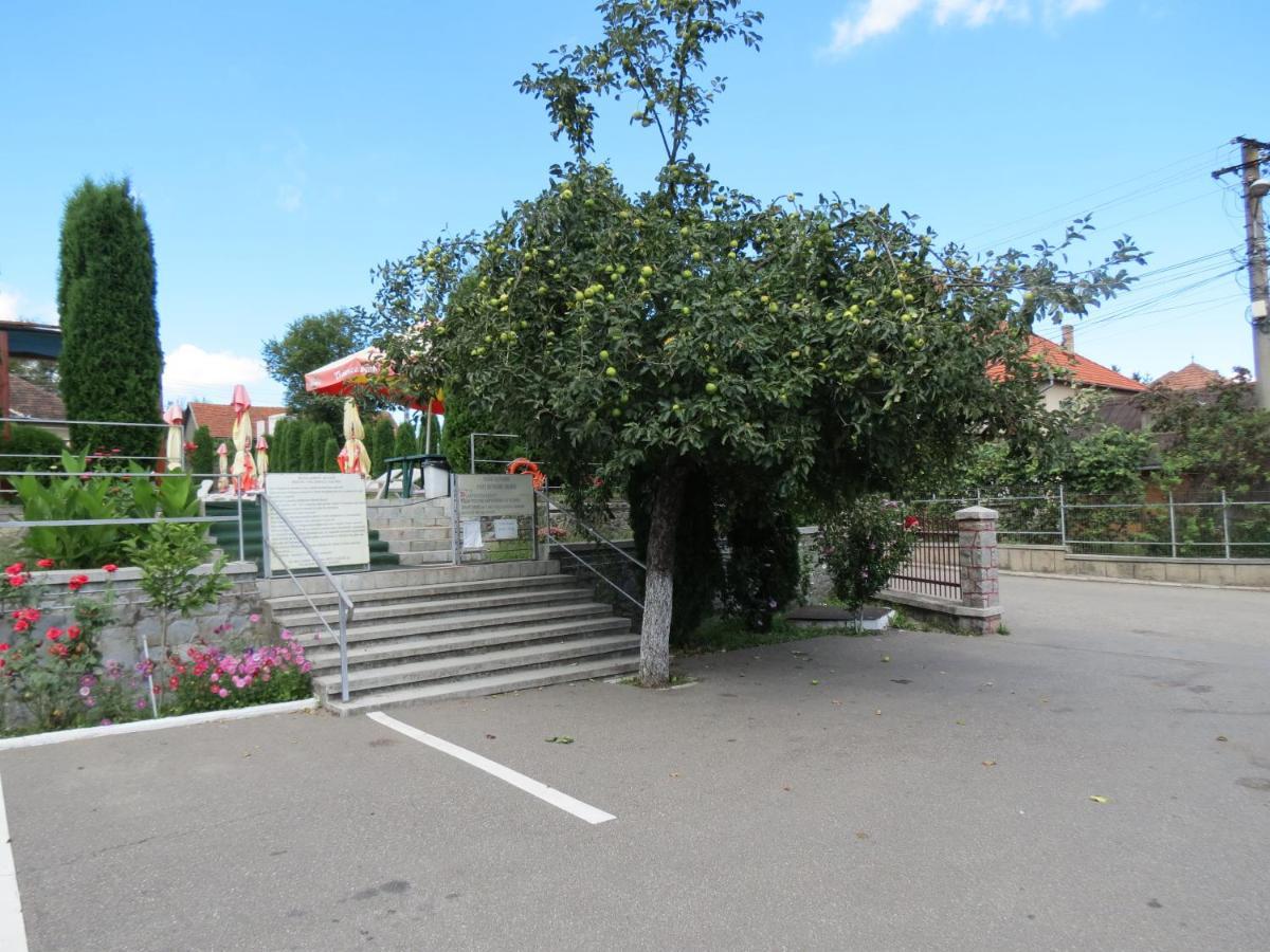 Pensiunea Cetina Brad  Exterior photo