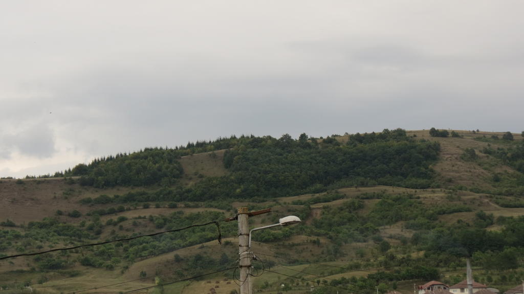 Pensiunea Cetina Brad  Exterior photo